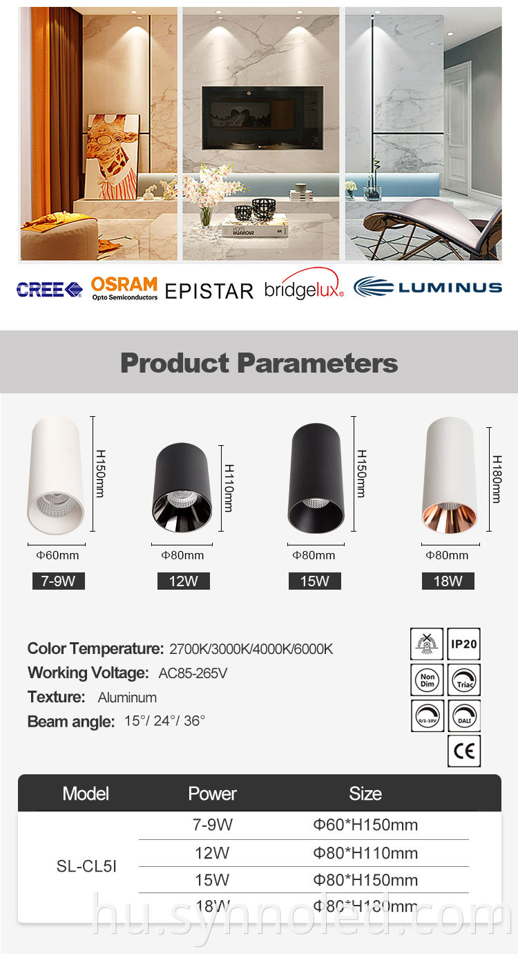Surface Mounted Downlight
